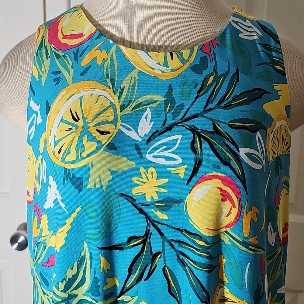 Cappagallo dress NWT Floral Fruit Print Sleeveless Dress Blue and Yellow Size Lg - Picture 2 of 6